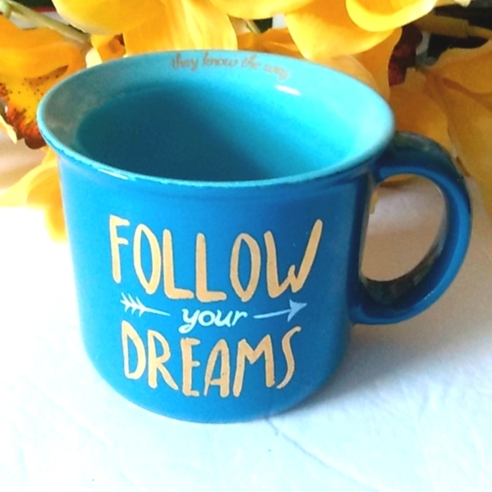 BOSTON WAREHOUSE FOLLOW YOUR DREAMS INSPIRATIONAL COFFEE MUG SIZE 16oz NWT - Picture 5 of 9